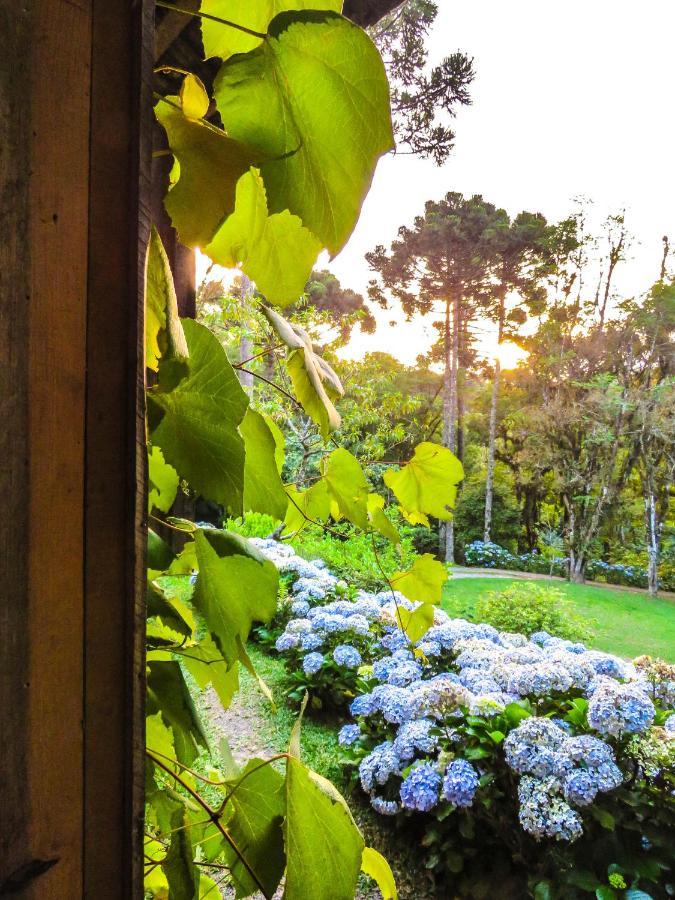 Rancho Do Lucas - Cabana E Chale Sao Bento do Sul Luaran gambar